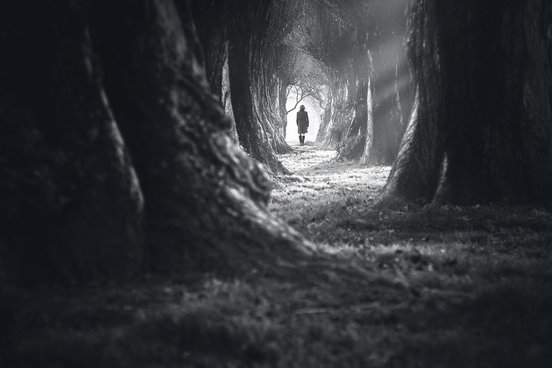 Ein Mensch läuft durch einen düsteren Wald zwischen riesigen alten Bäumen.