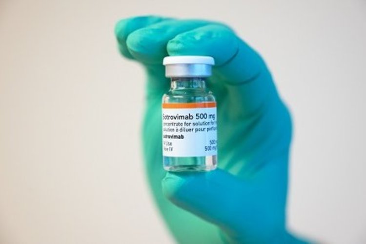 Das Bild zeigt eine Hand, die ein Impfstoff-Fläschchen mit dem Wirkstoff Sotrovimab hält